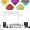 5 Core 2 Channel Wireless Microphones w 2 Headset Portable Mini Mic Headset Microfono Inalambricos with Receiver - WM 301 HH